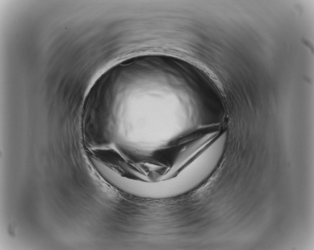 X0000096131530200802081314