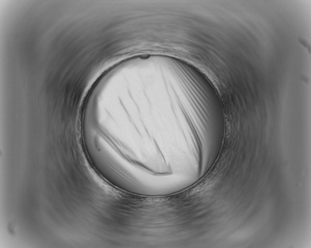 X0000096131531200802081314