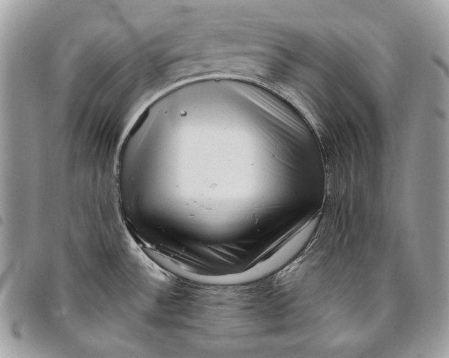 X0000096131532200802081314