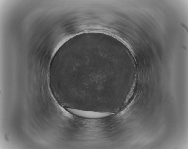 X0000096131533200802081314