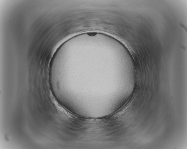 X0000096131534200802081314