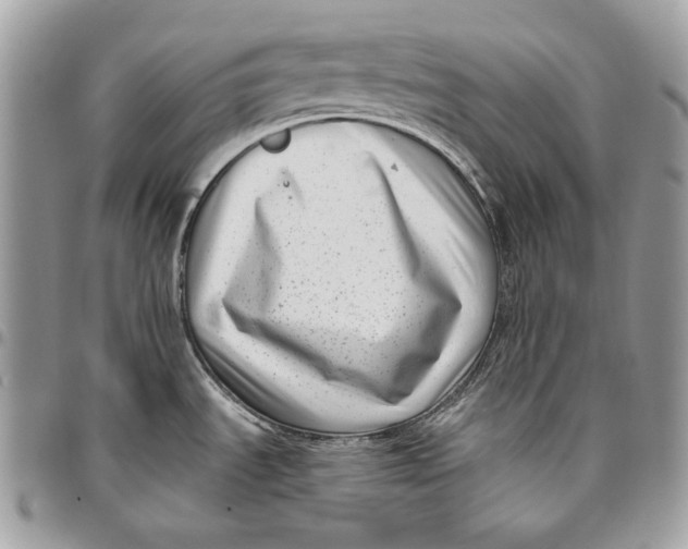 X0000096131535200802081314