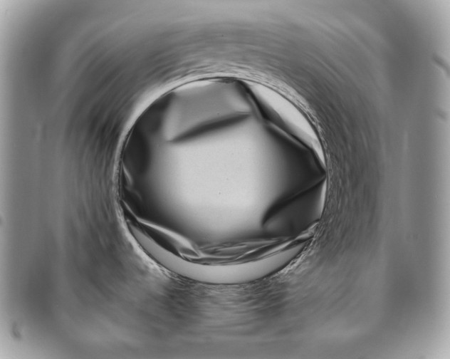 X0000096131536200802081314