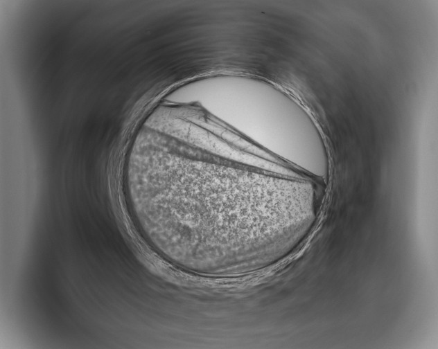X0000096130001200802151323