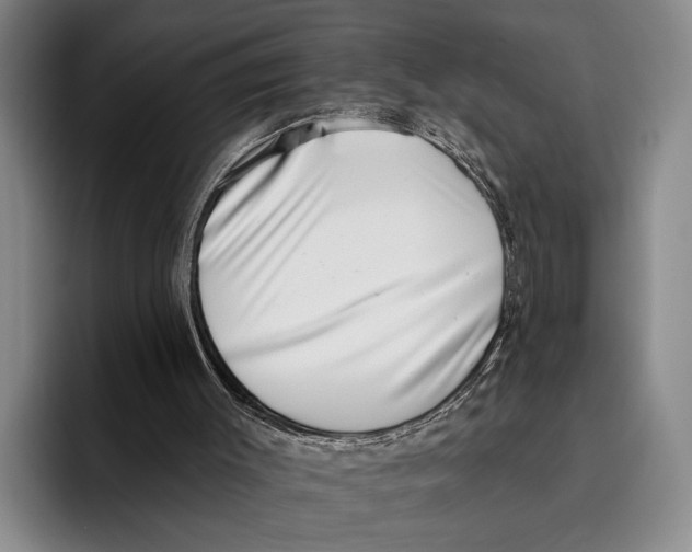 X0000096130003200802151323