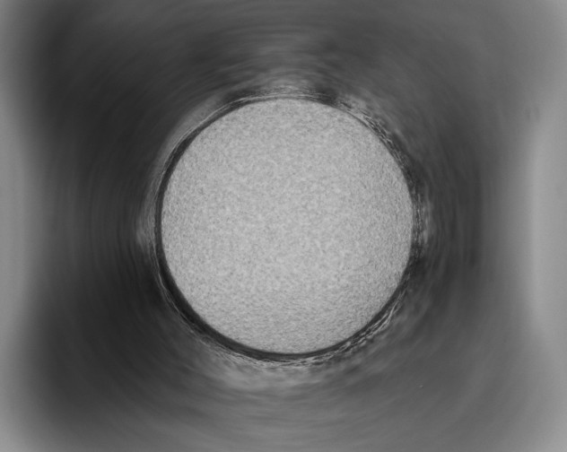 X0000096130004200802151323