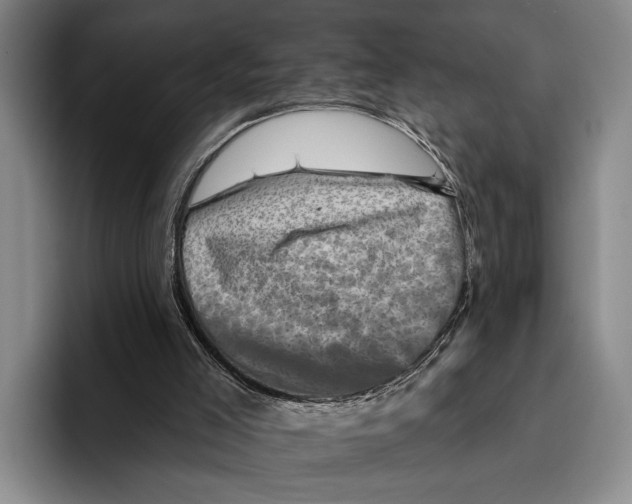 X0000096130005200802151323