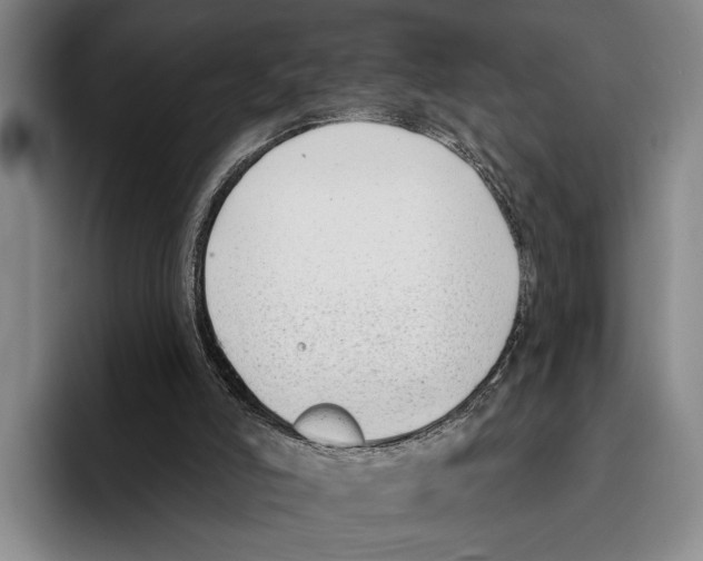 X0000096130006200802151323