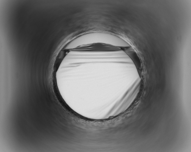 X0000096130007200802151323