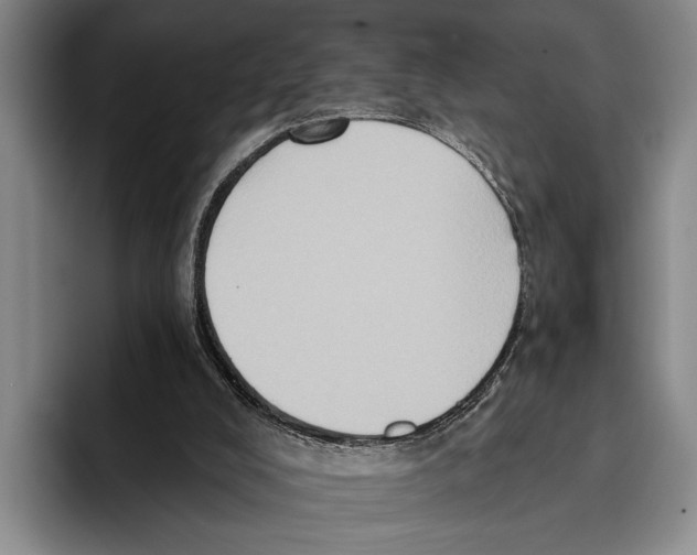 X0000096130008200802151323