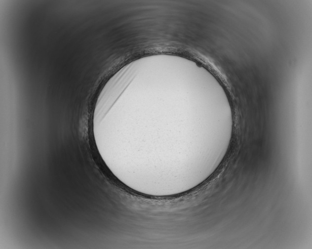 X0000096130010200802151323