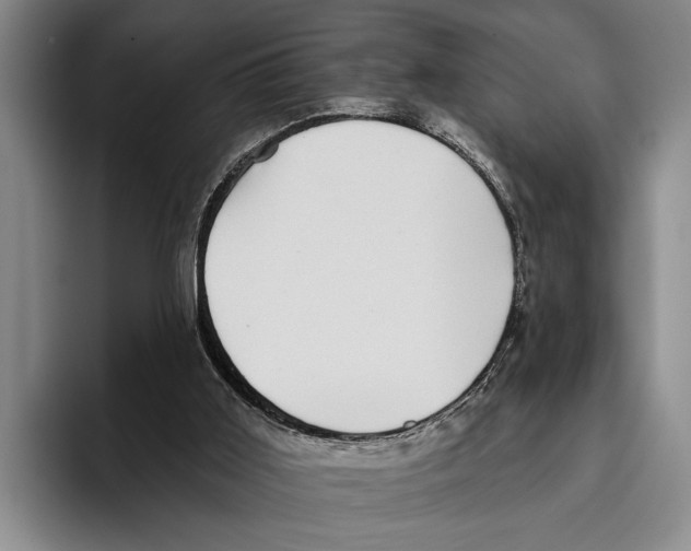 X0000096130011200802151323
