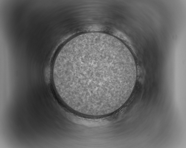 X0000096130012200802151323