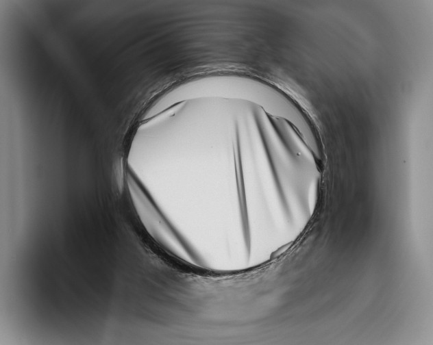 X0000096130013200802151323