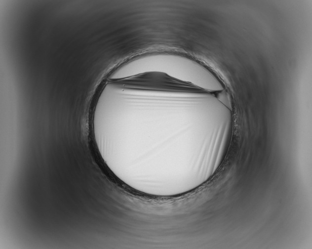 X0000096130015200802151323
