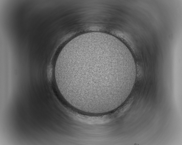 X0000096130016200802151323
