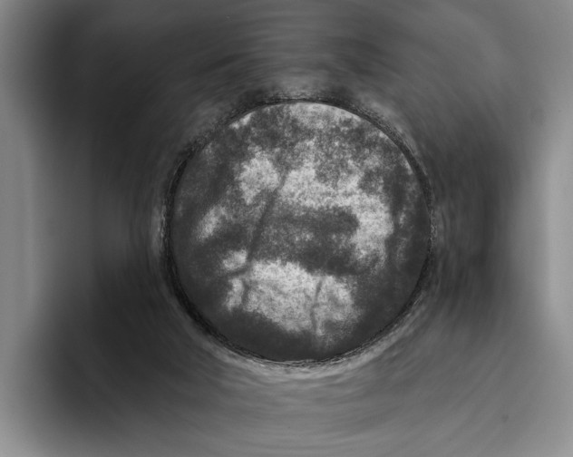 X0000096130018200802151323