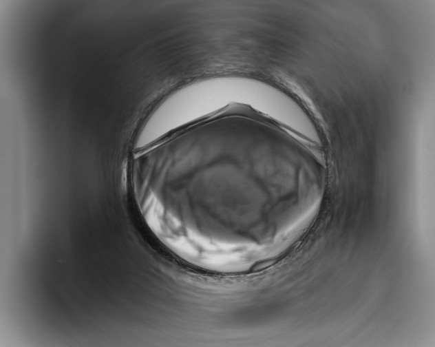 X0000096130019200802151323