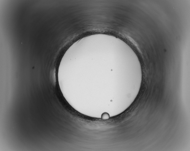 X0000096130020200802151323