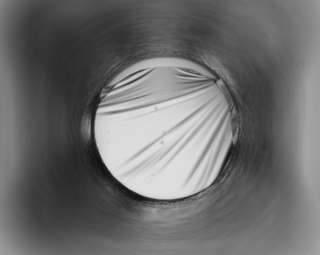 X0000096130021200802151323