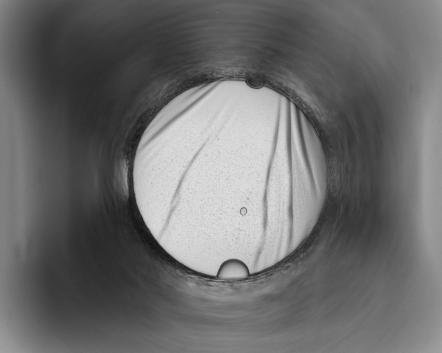 X0000096130022200802151323