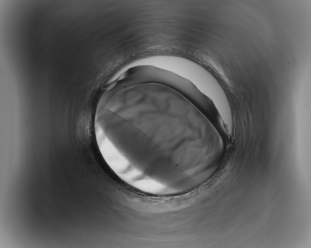 X0000096130023200802151323