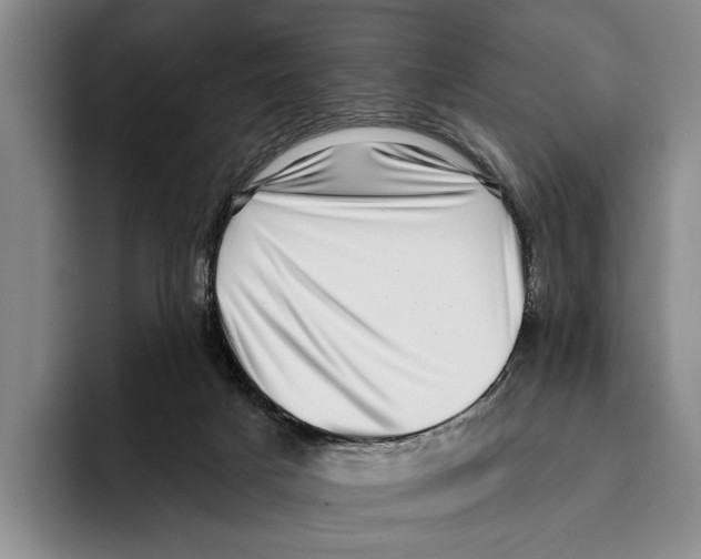 X0000096130025200802151323