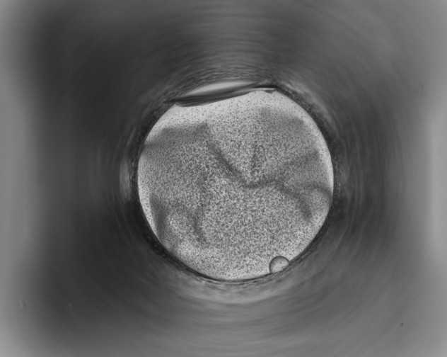 X0000096130026200802151323
