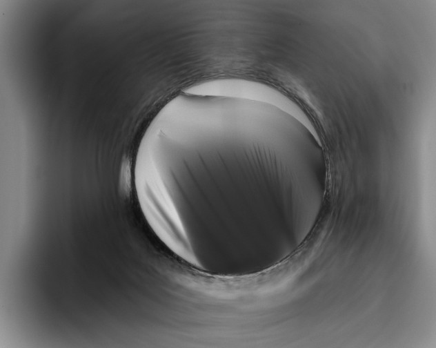X0000096130027200802151323