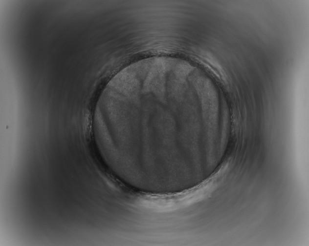 X0000096130029200802151323