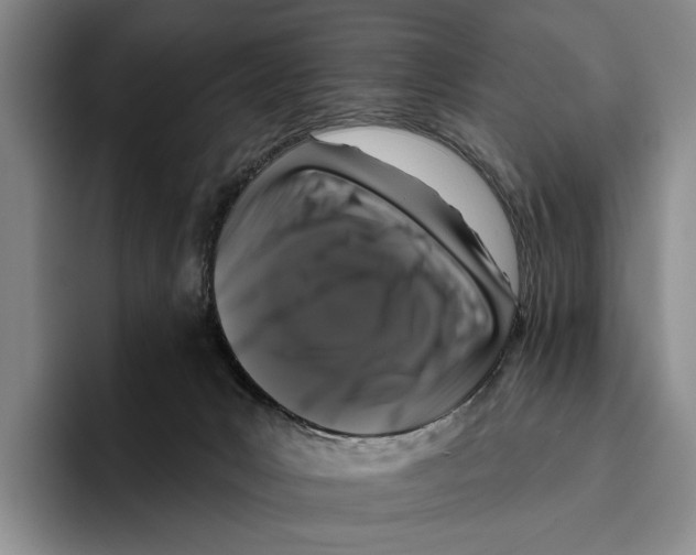 X0000096130031200802151323