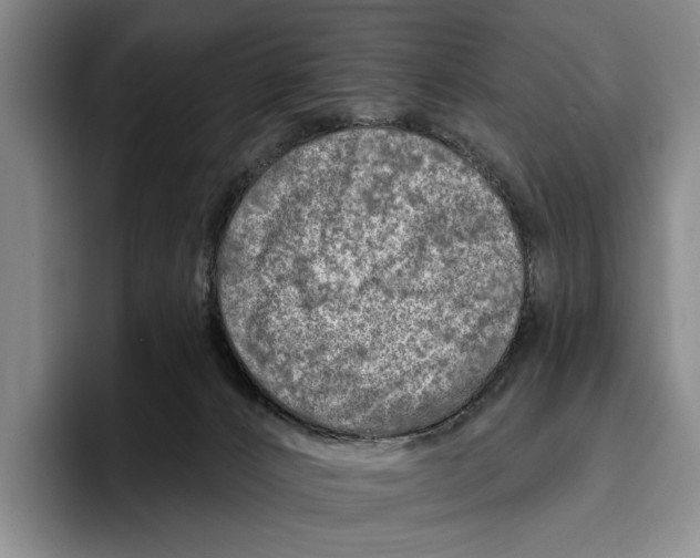 X0000096130032200802151323