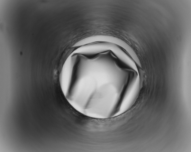 X0000096130033200802151323
