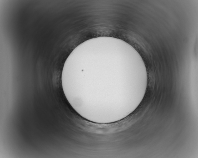 X0000096130034200802151323