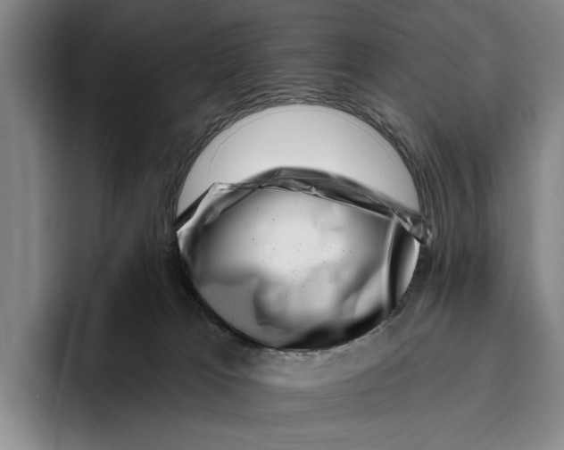 X0000096130037200802151323