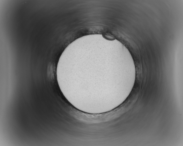 X0000096130038200802151323
