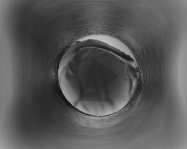 X0000096130039200802151323