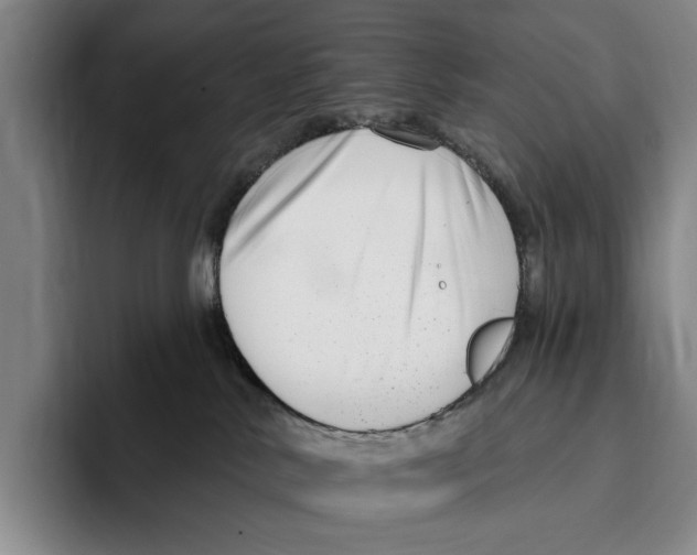 X0000096130042200802151323