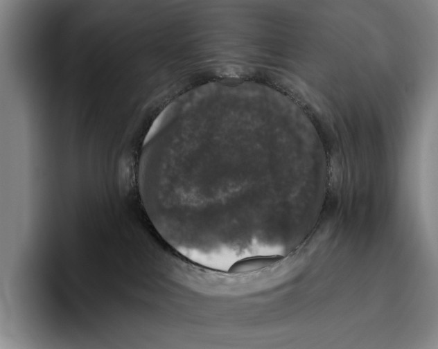 X0000096130043200802151323