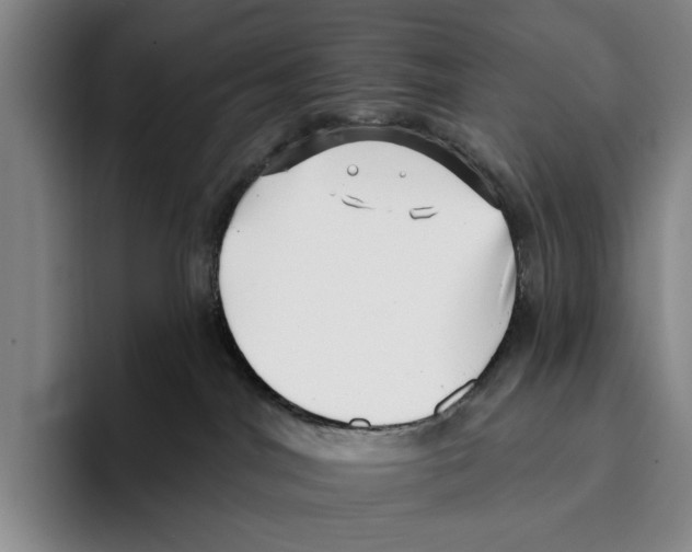 X0000096130044200802151323