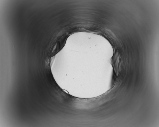 X0000096130045200802151323