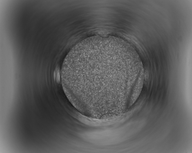 X0000096130046200802151323