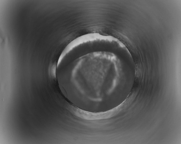 X0000096130047200802151323