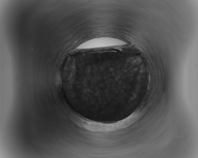 X0000096130048200802151323