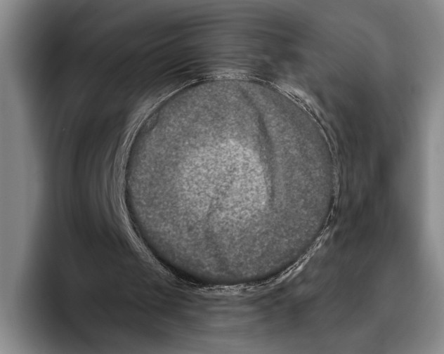 X0000096130049200802151322