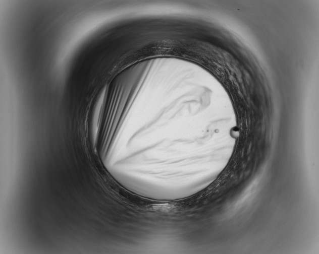 X0000096130050200802151322
