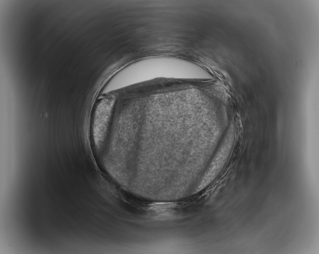 X0000096130051200802151322
