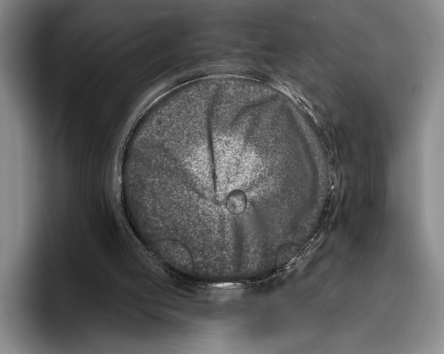 X0000096130053200802151322