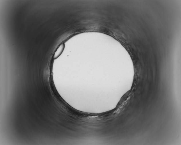 X0000096130054200802151322