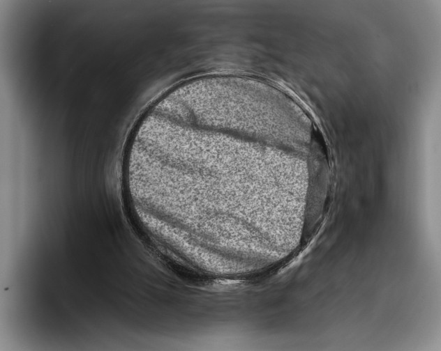 X0000096130055200802151322